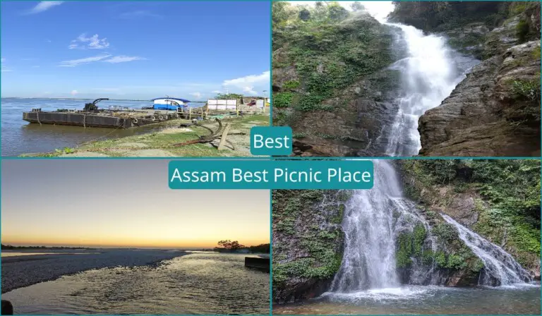 Best Assam Best Picnic Place