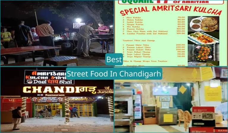 Best Street Food In Chandigarh
